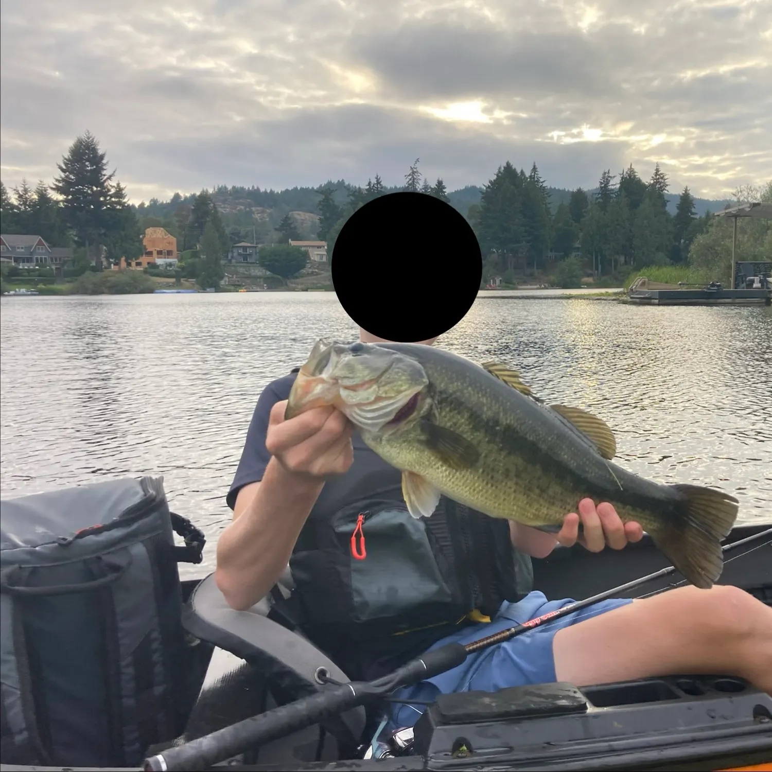 Largemouth bass caught on Fishbrain