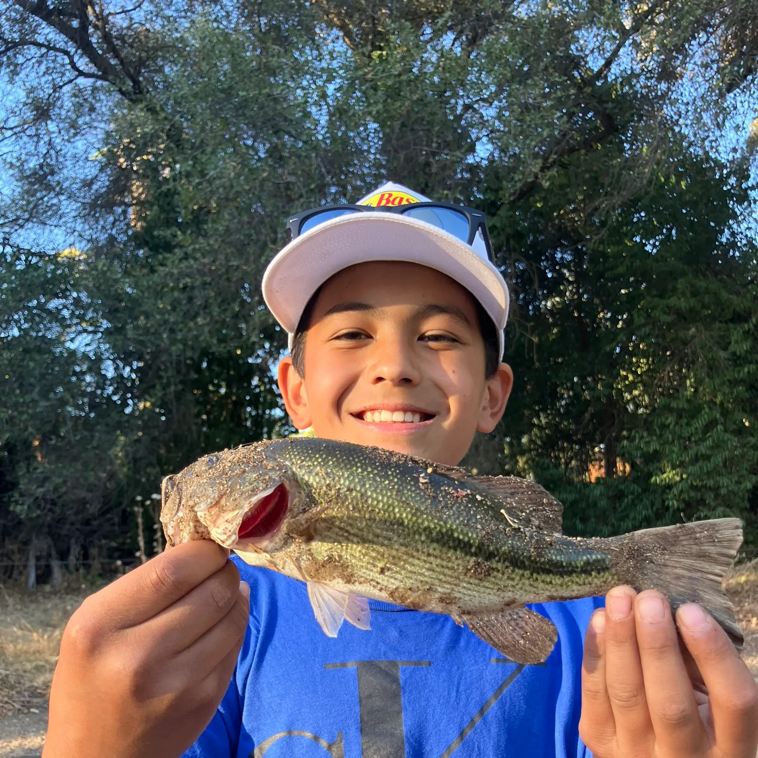 Spotted bass caught on Fishbrain