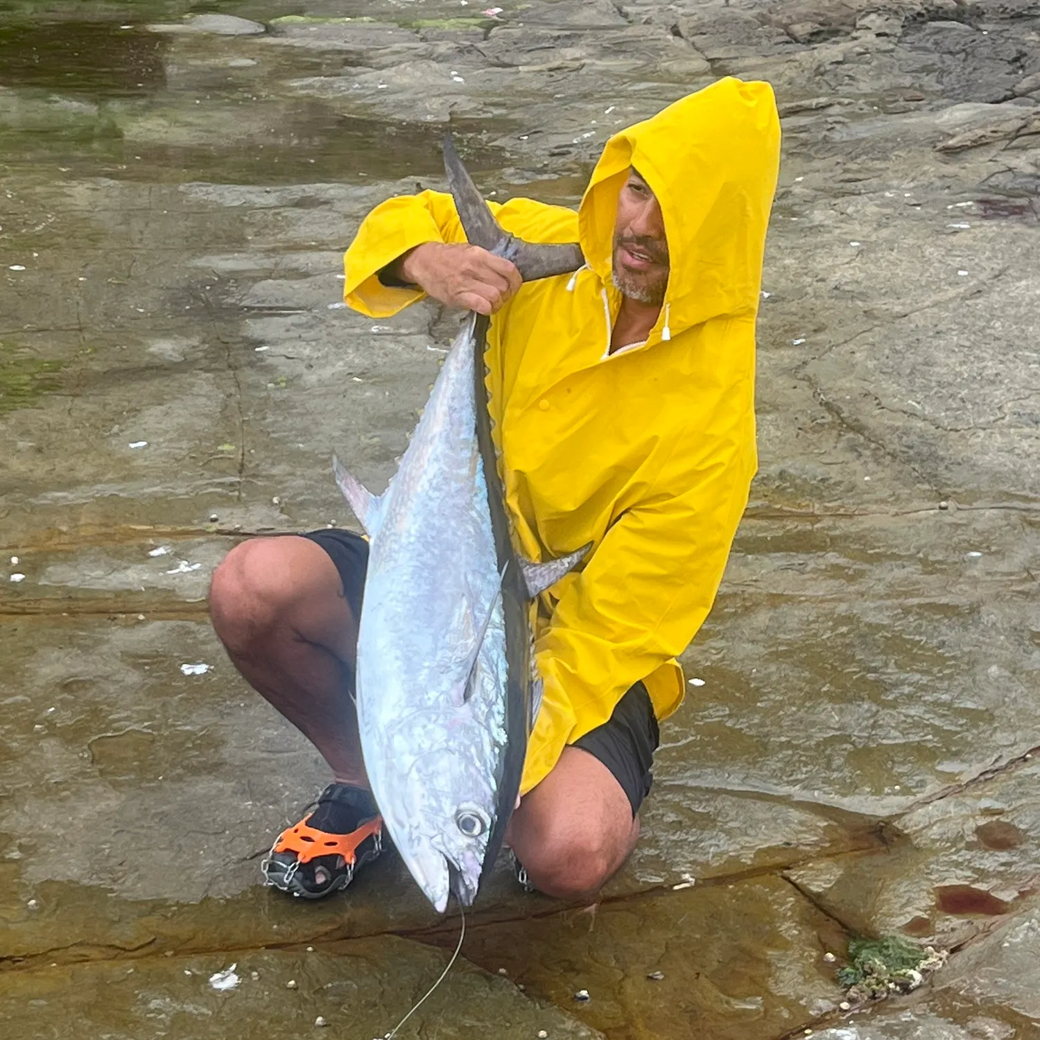 The most recent Longtail tuna catches on Fishbrain