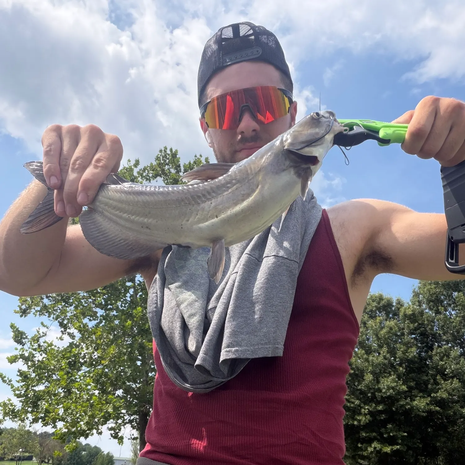 Channel catfish caught on Fishbrain