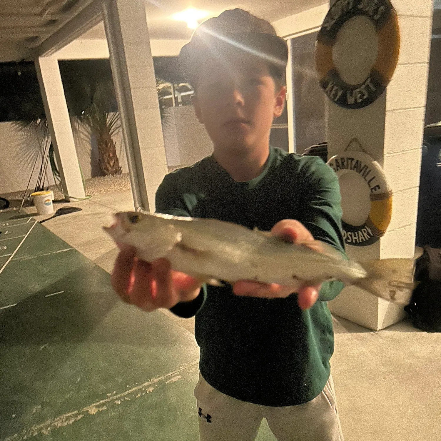 The most recent Silver seatrout catches on Fishbrain