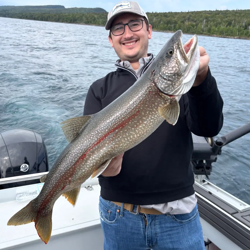 Lake char caught on Fishbrain