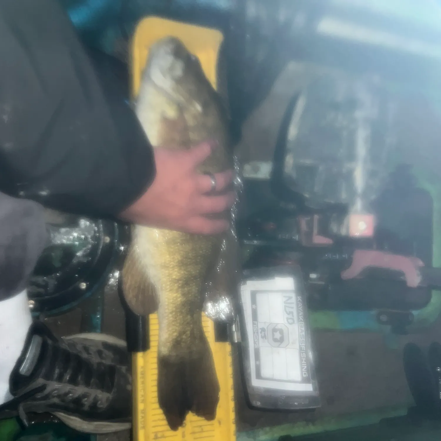 Smallmouth bass caught on Fishbrain
