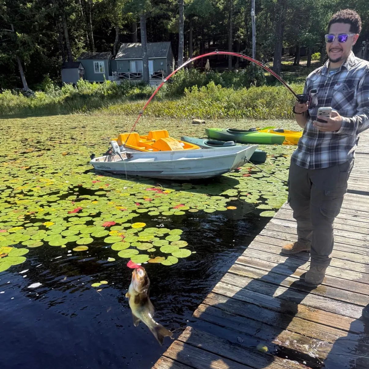 Largemouth bass caught on Fishbrain