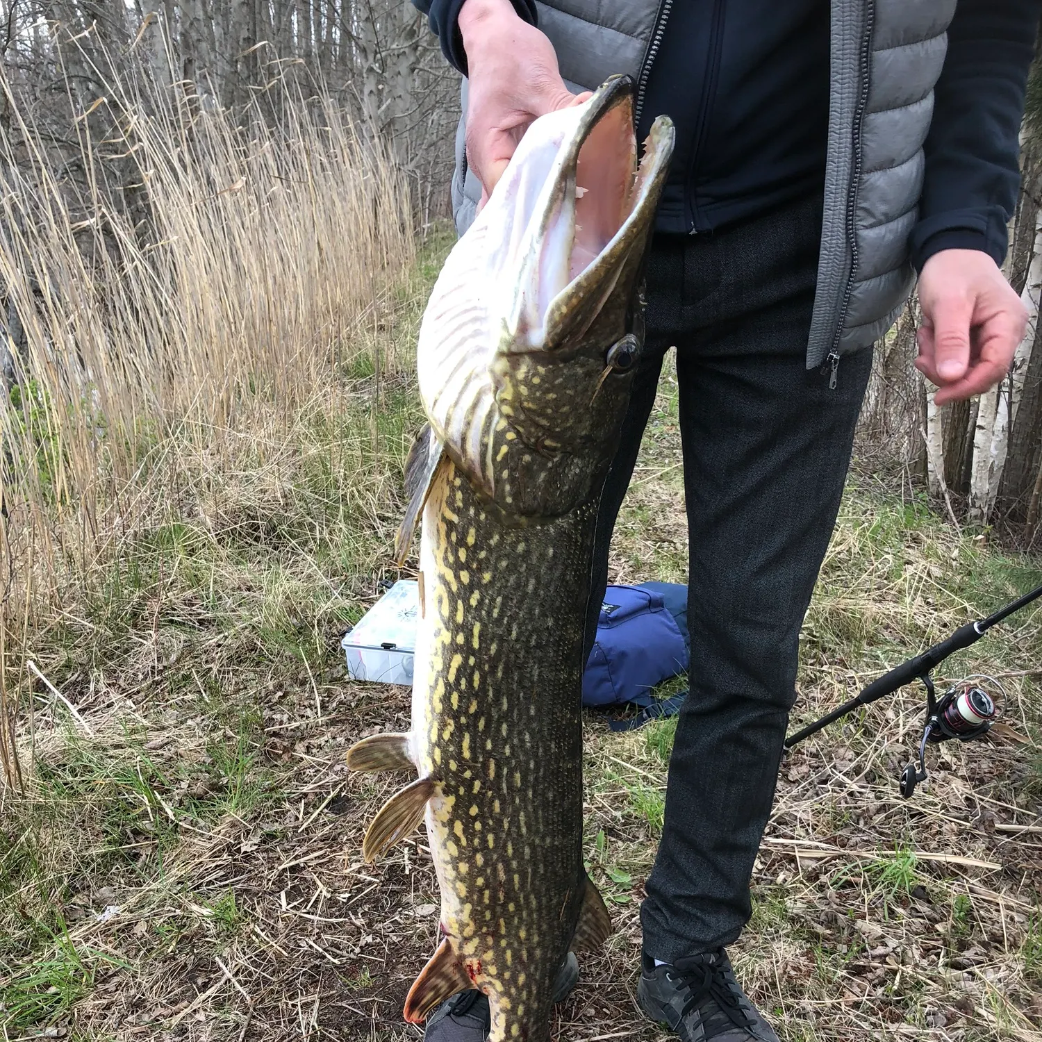 catch