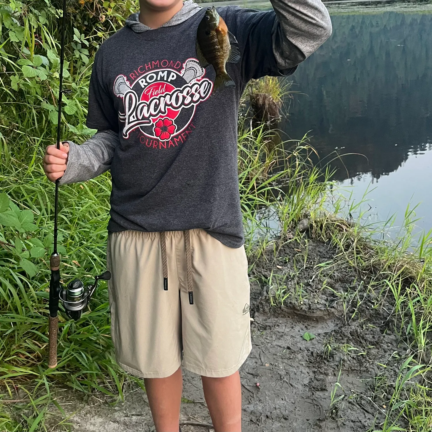 Bluegill caught on Fishbrain