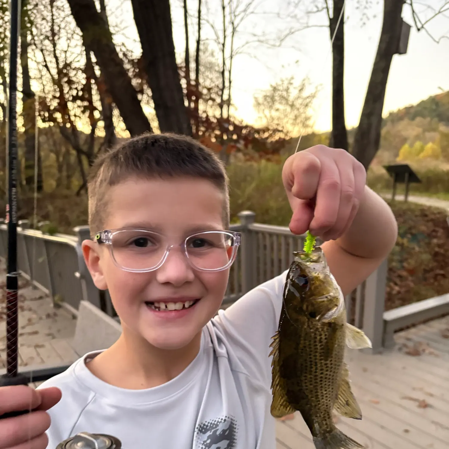 Rock bass caught on Fishbrain