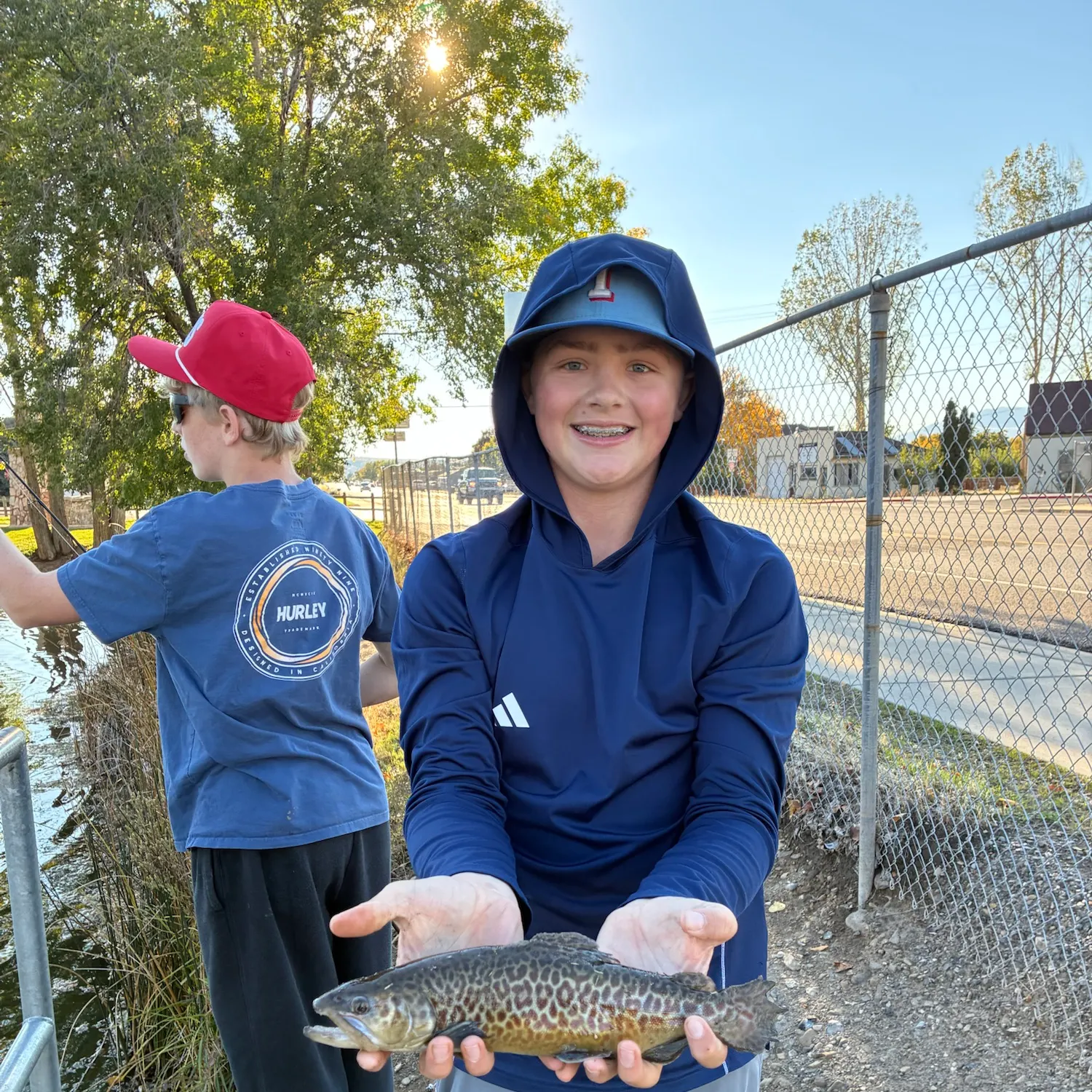 Tiger trout caught on Fishbrain