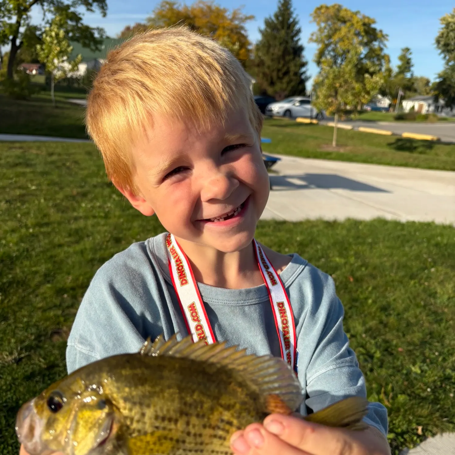 Rock bass caught on Fishbrain