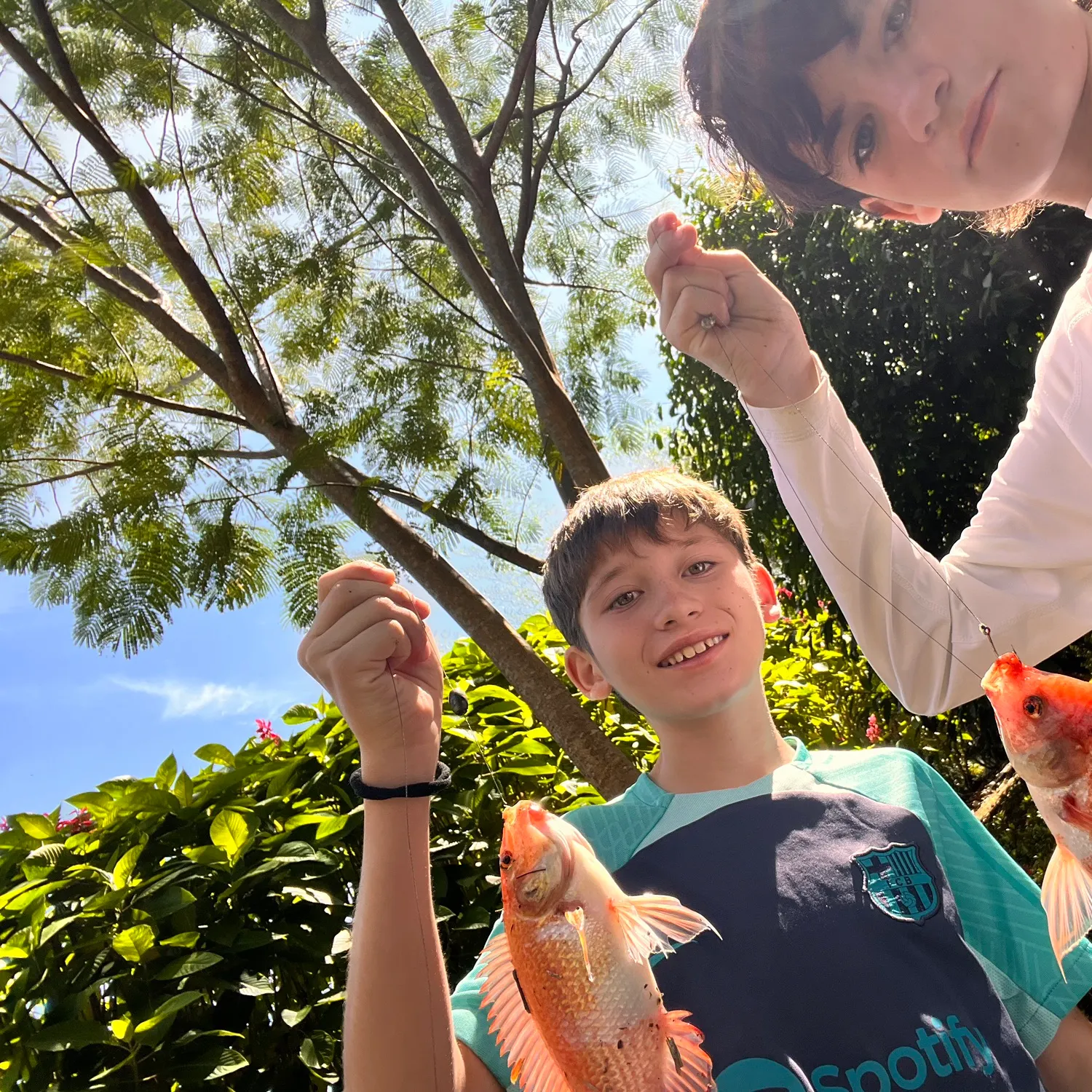The most recent Red tilapia catches on Fishbrain