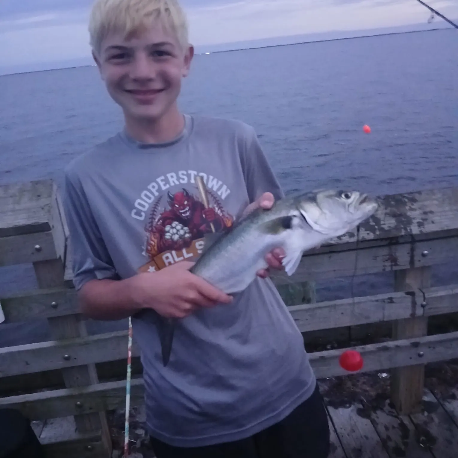 Bluefish caught on Fishbrain