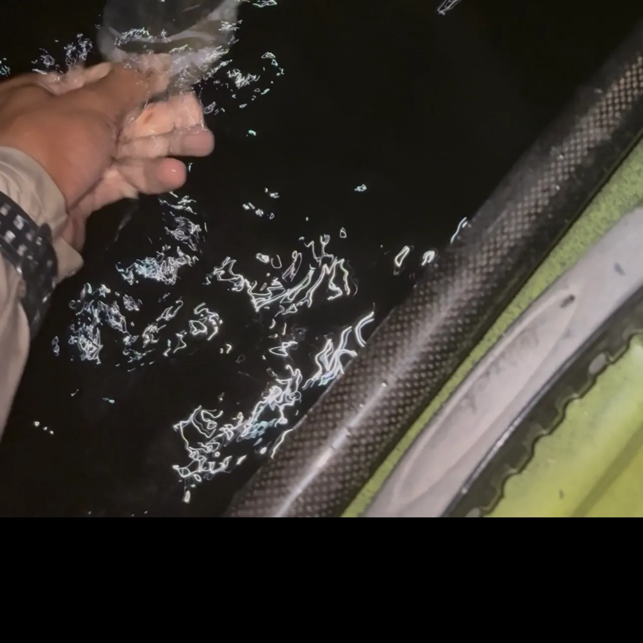 Striped bass caught on Fishbrain