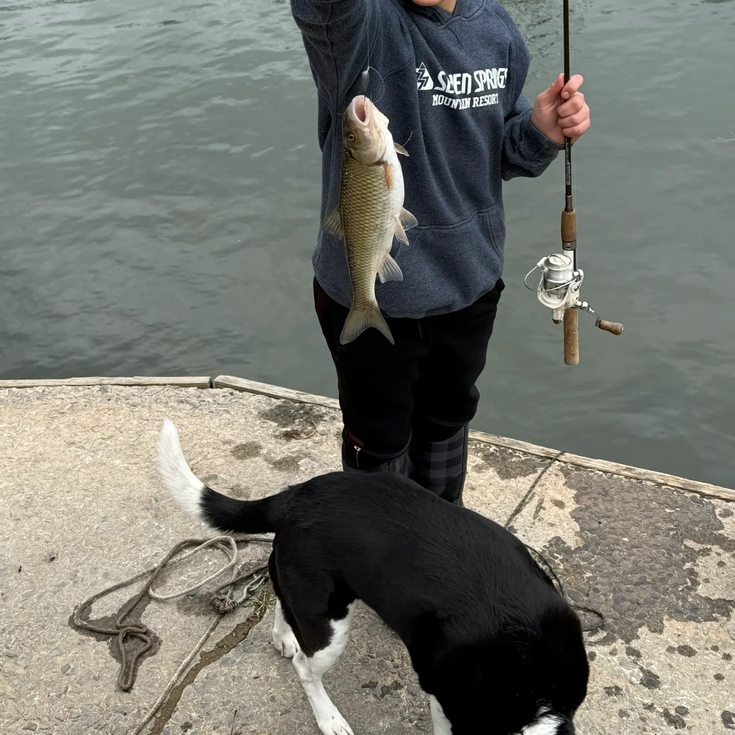 most liked catch image
