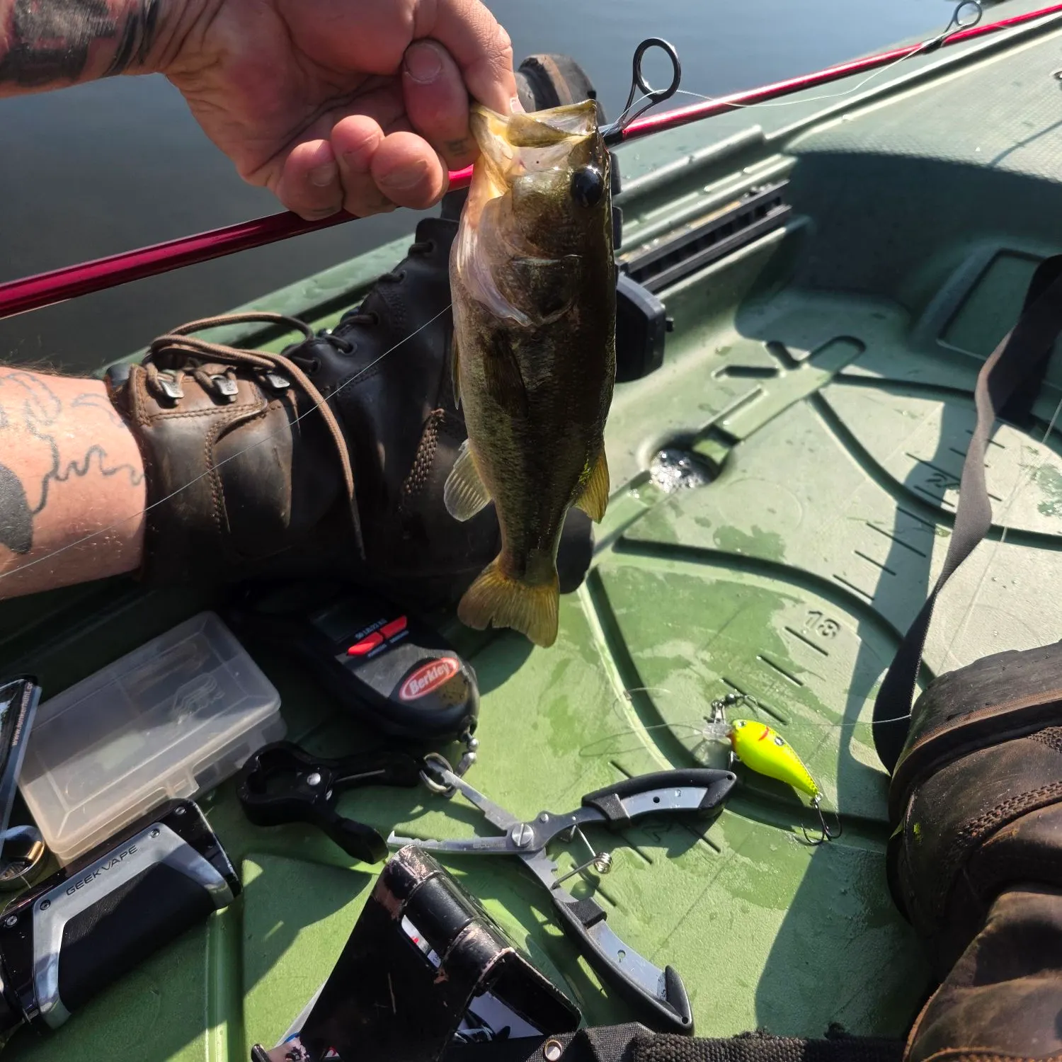 recently logged catches