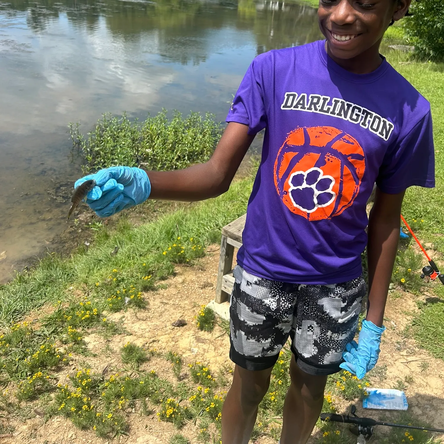 Bluegill caught on Fishbrain