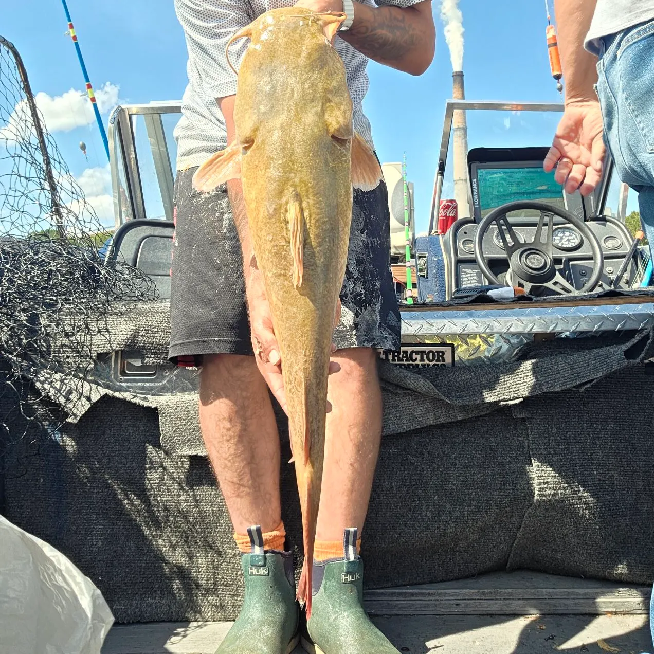 The most recent Flathead catfish catches on Fishbrain