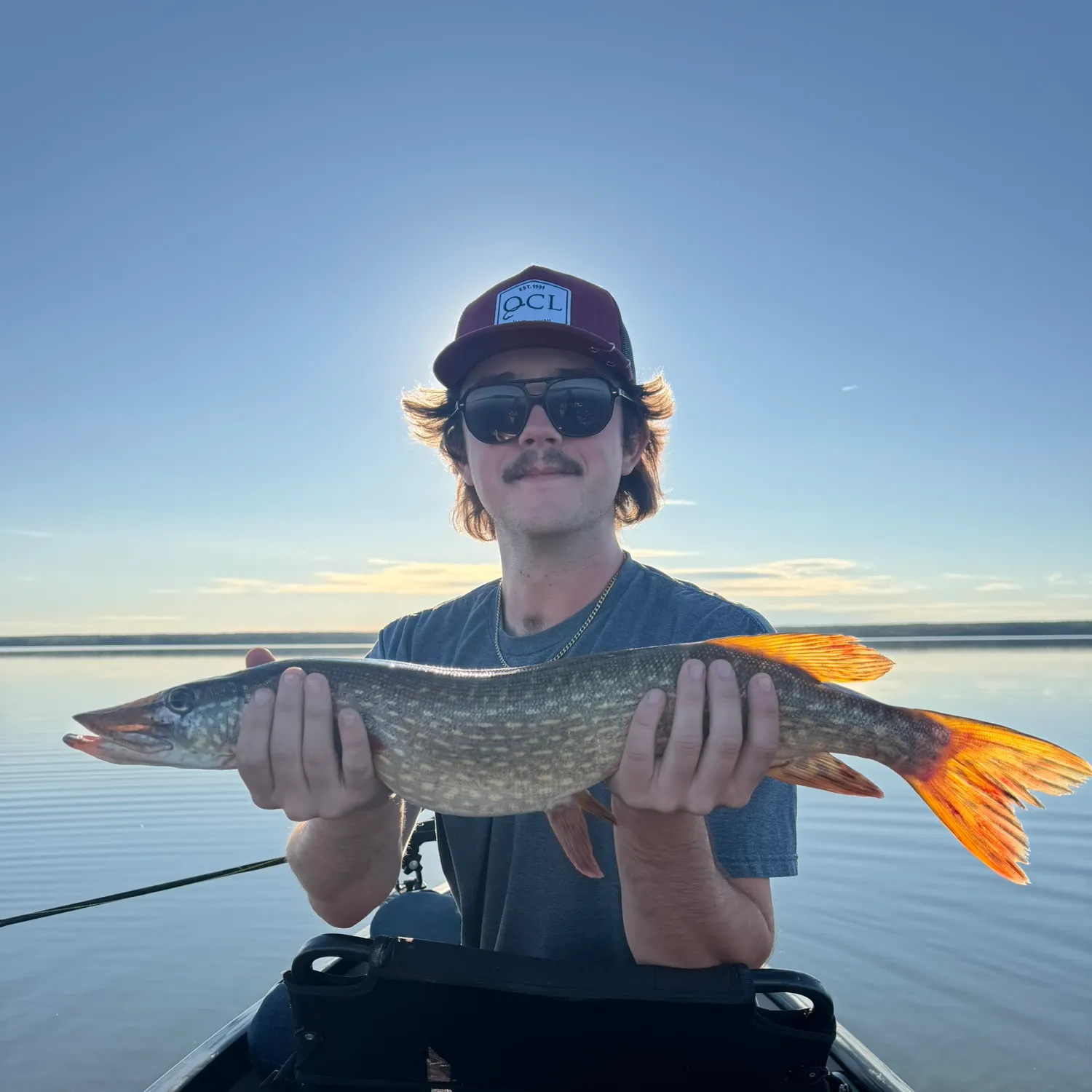 Northern pike caught on Fishbrain