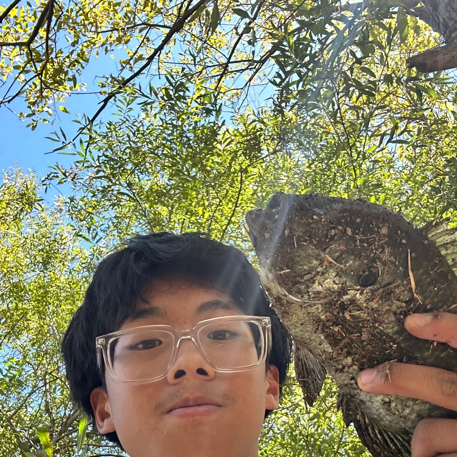 Redear x bluegill caught on Fishbrain