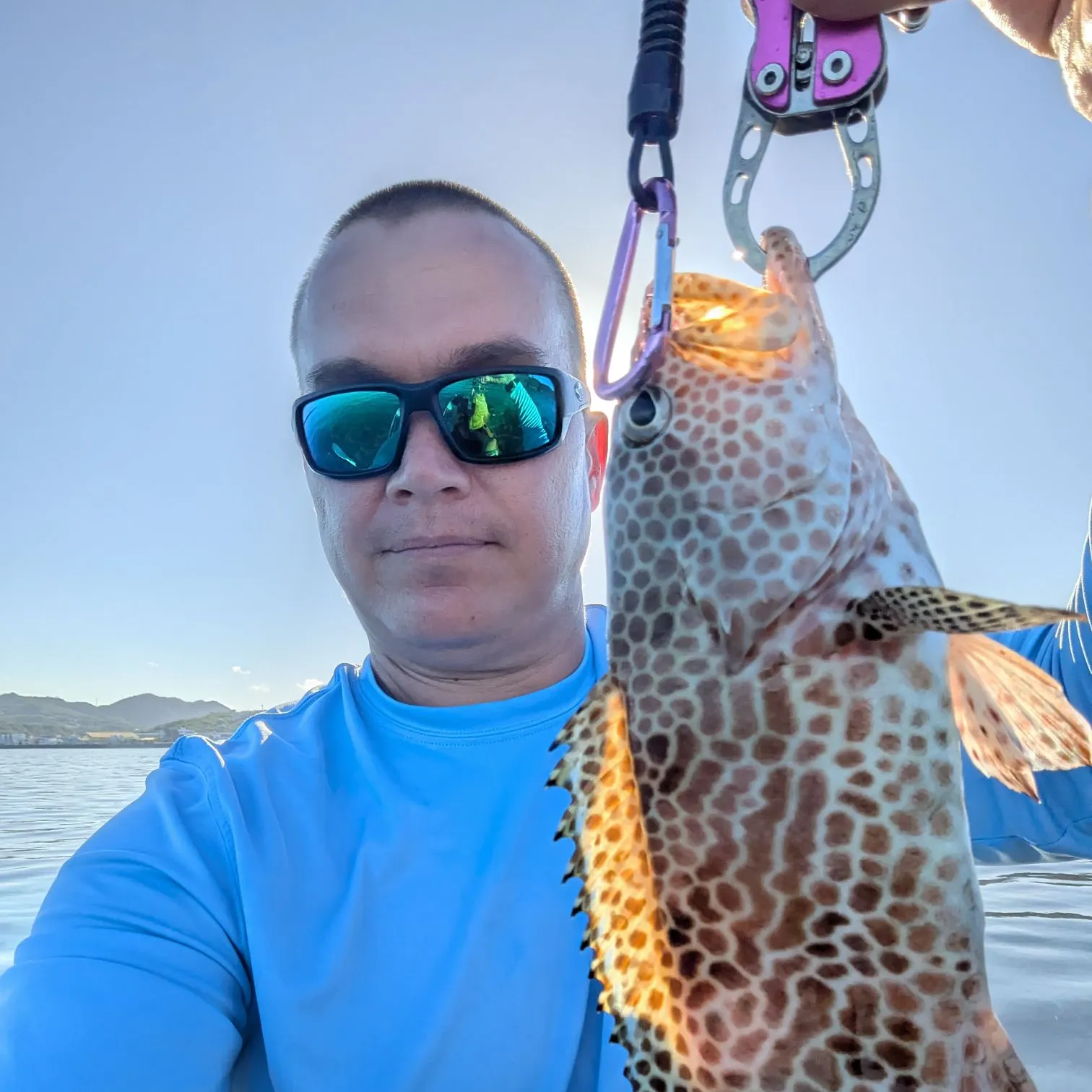 The most recent Areolate grouper catches on Fishbrain