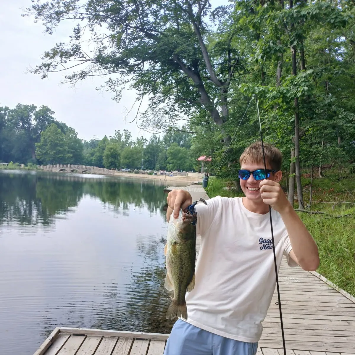 Largemouth bass caught on Fishbrain