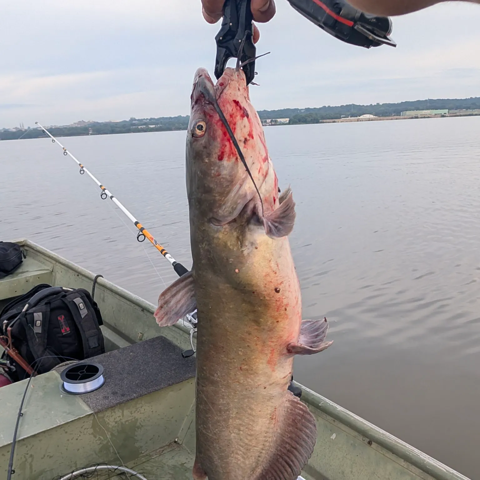 catch