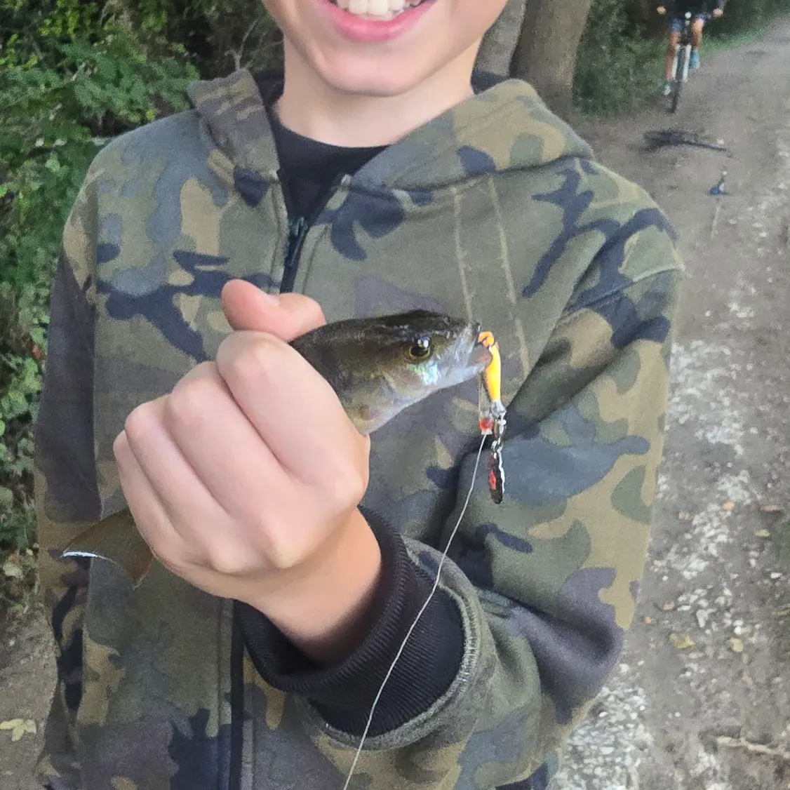 European perch caught on Fishbrain