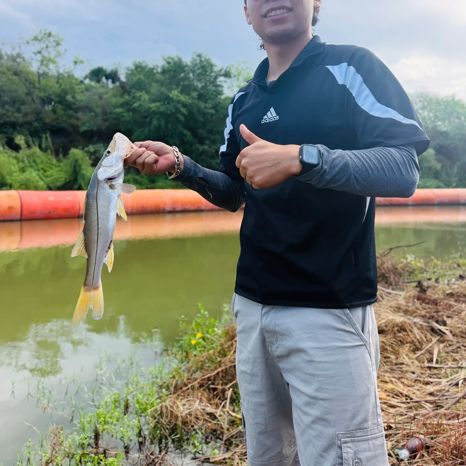 Common snook caught on Fishbrain
