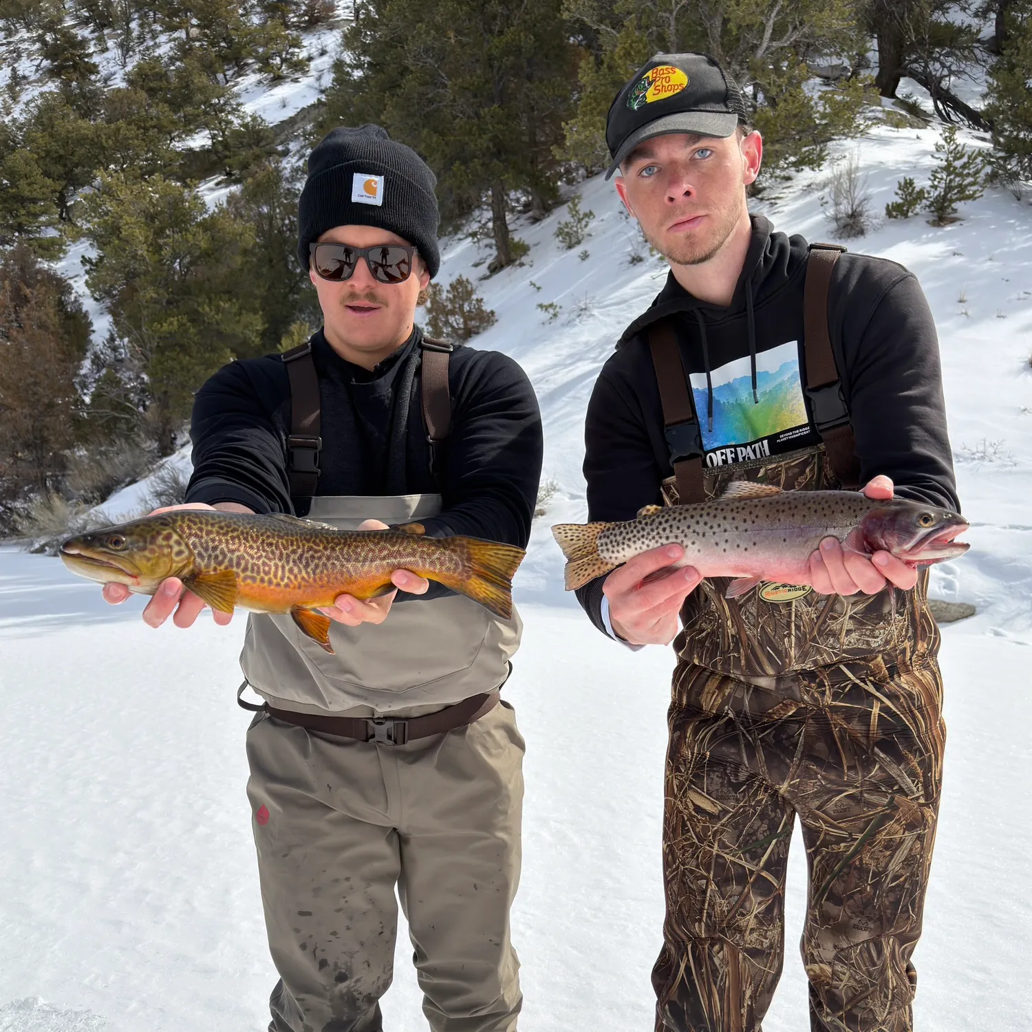 The most recent Colorado river cutthroat trout catches on Fishbrain