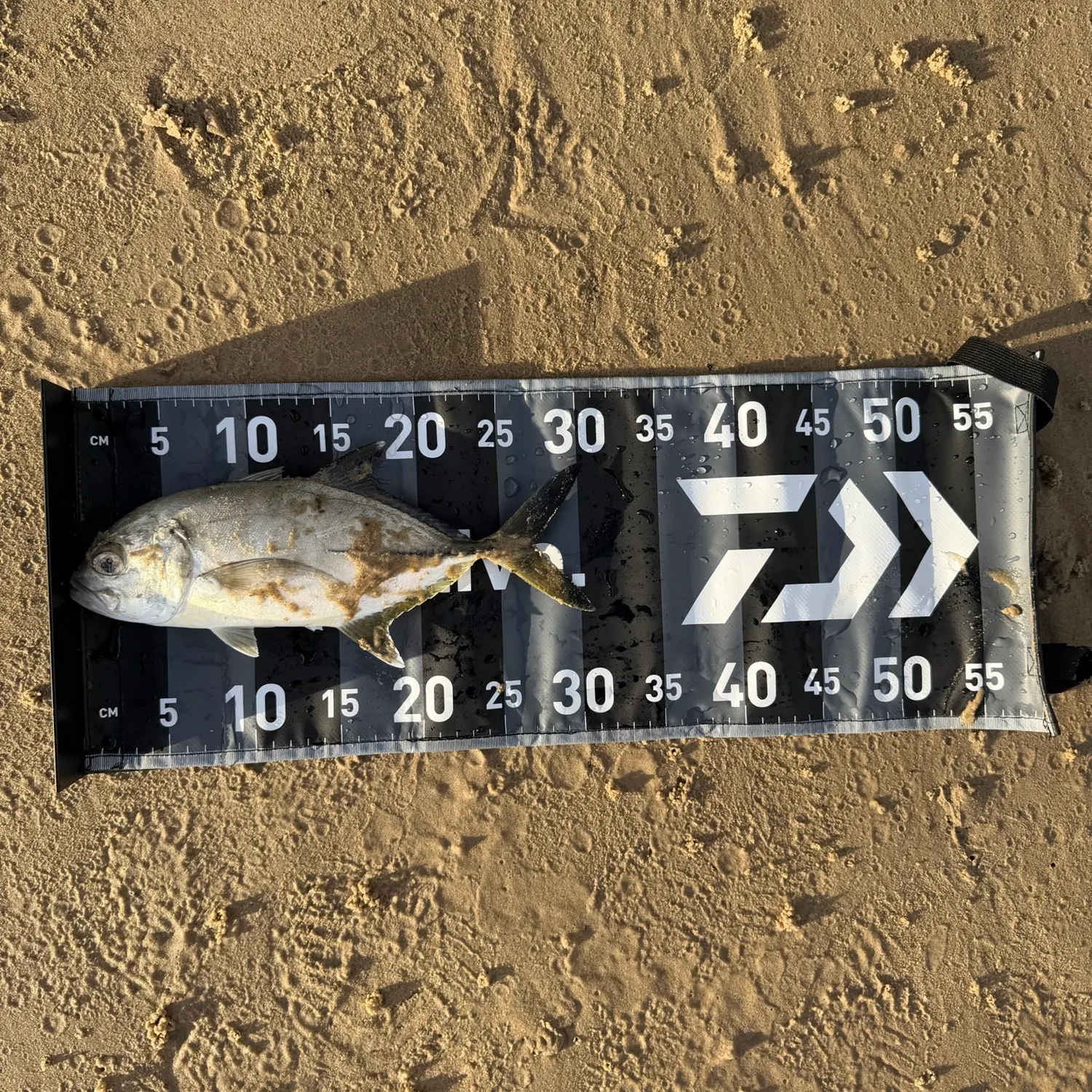Giant trevally caught on Fishbrain