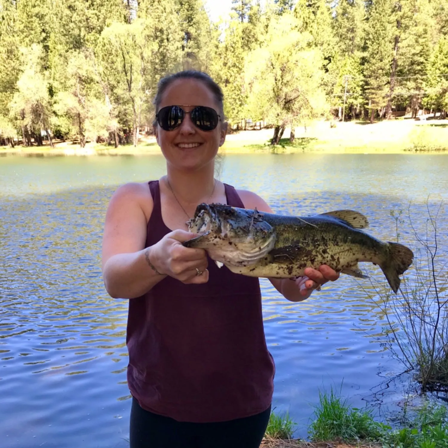 Largemouth bass caught on Fishbrain