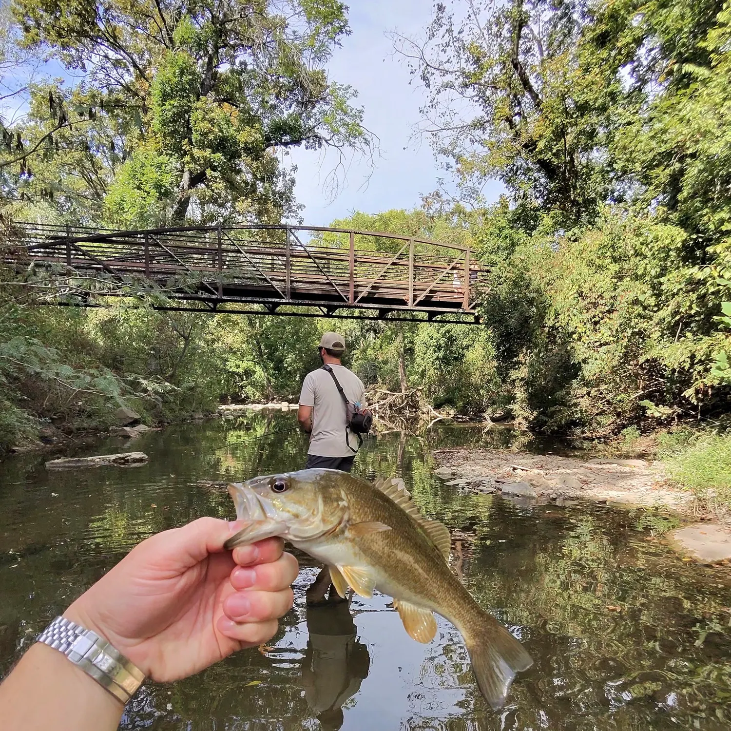 Smallmouth bass caught on Fishbrain