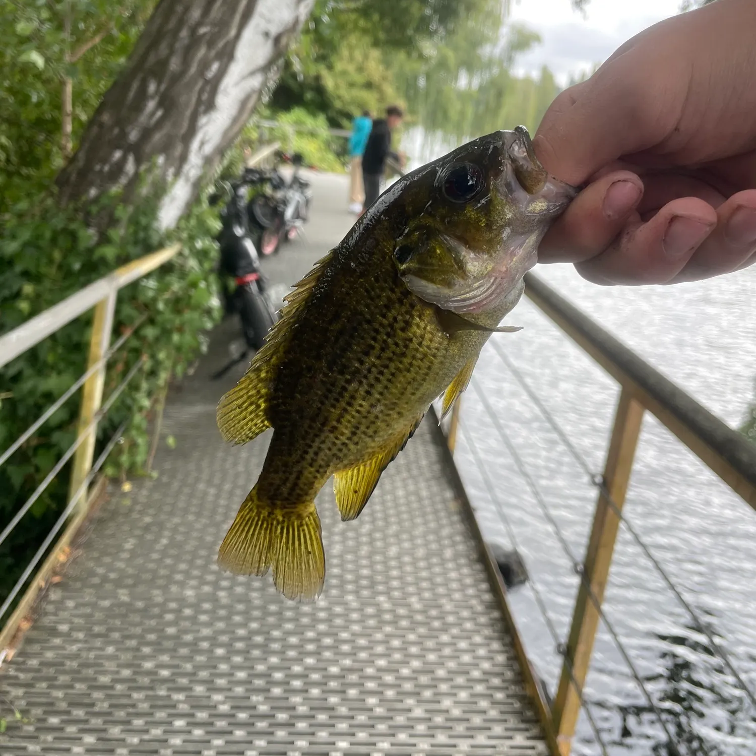 catch