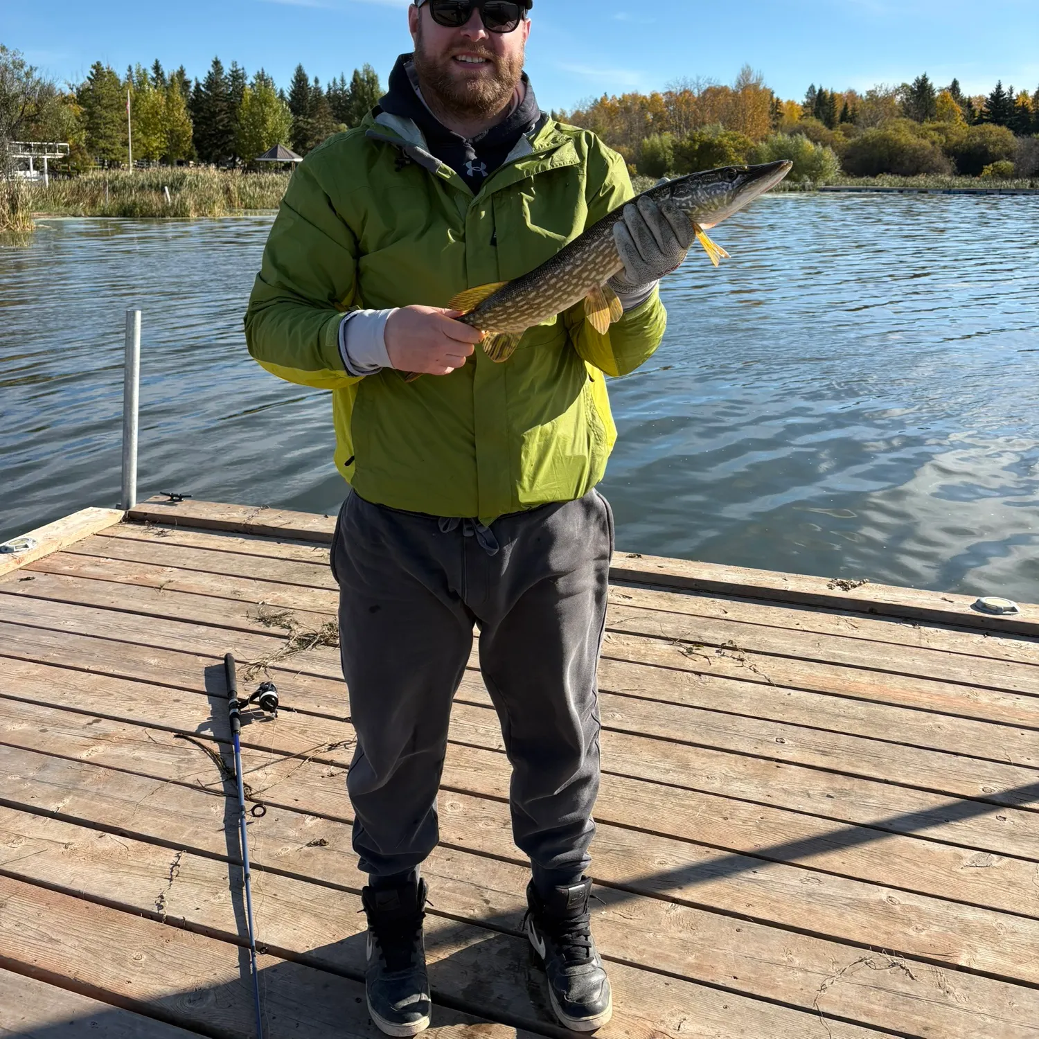 Northern pike caught on Fishbrain