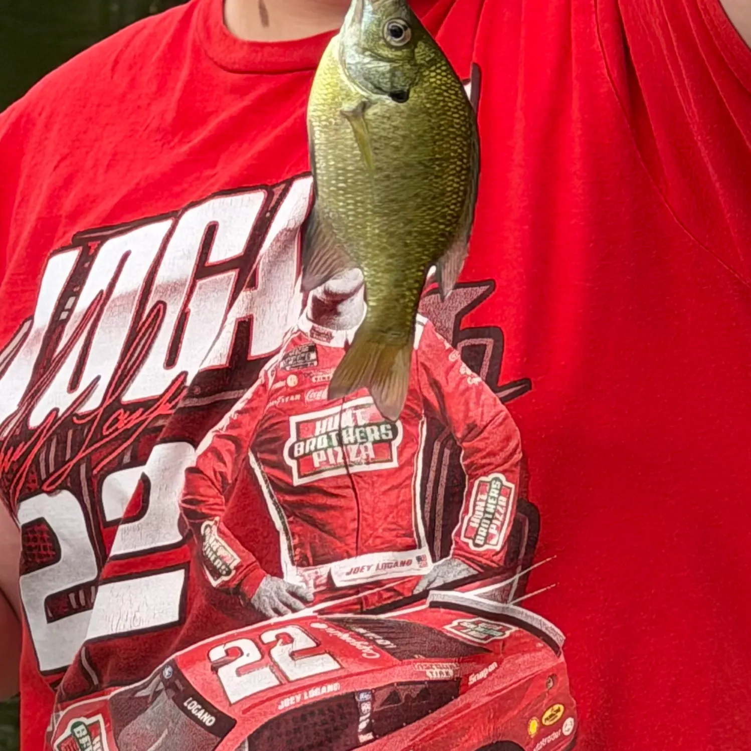 Bluegill caught on Fishbrain