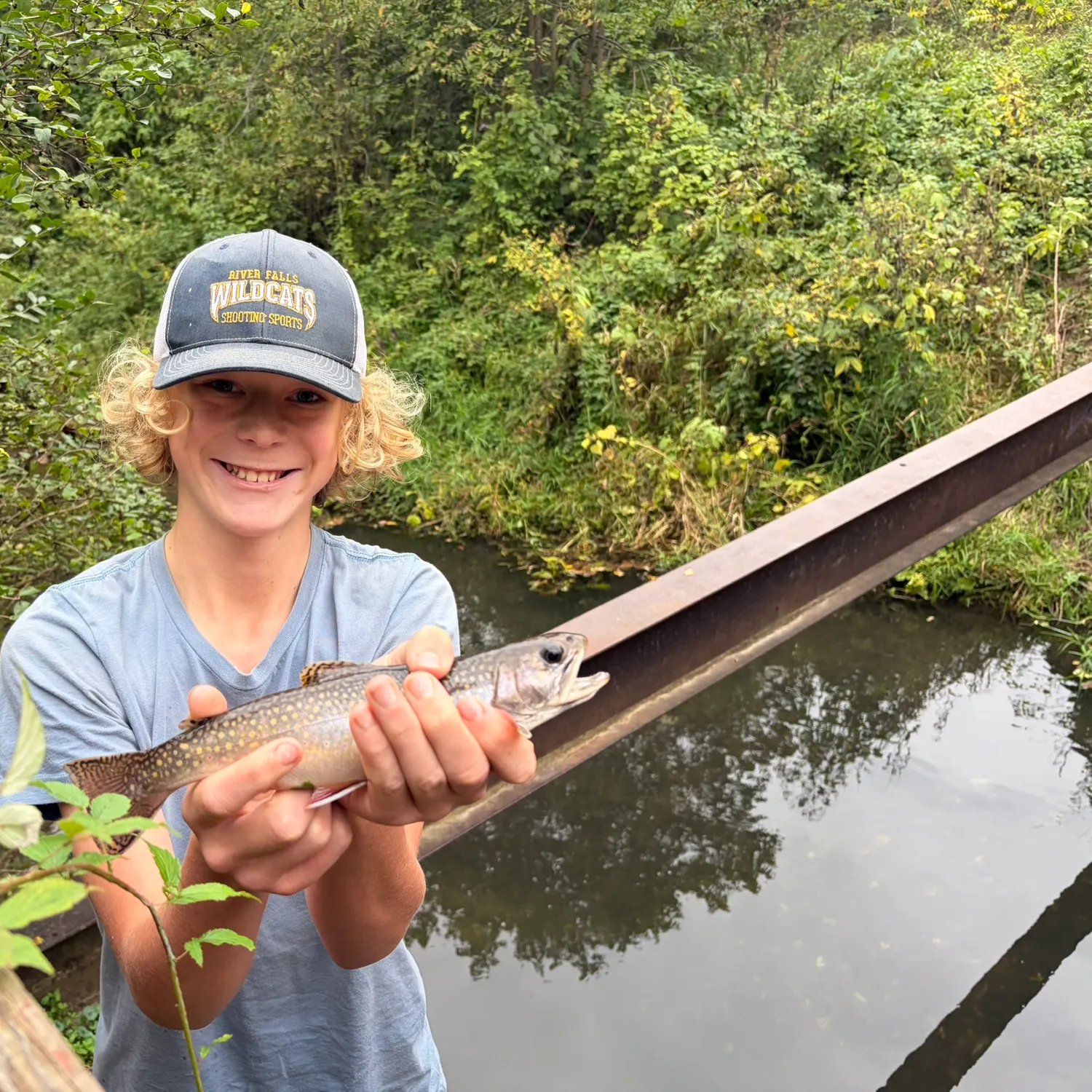 Brook trout caught on Fishbrain