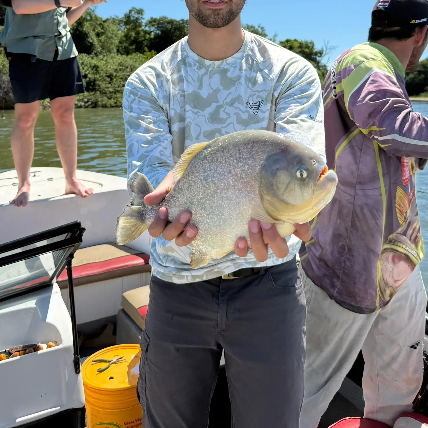 The most recent San Francisco piranha catches on Fishbrain