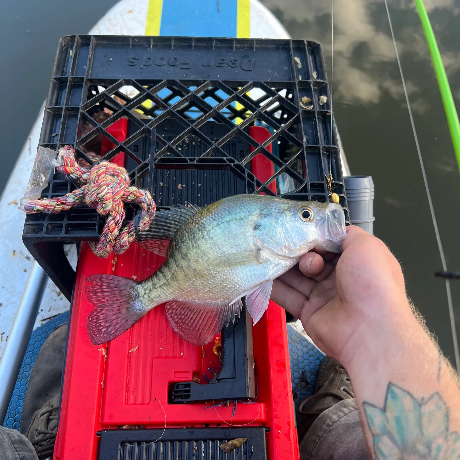 catch