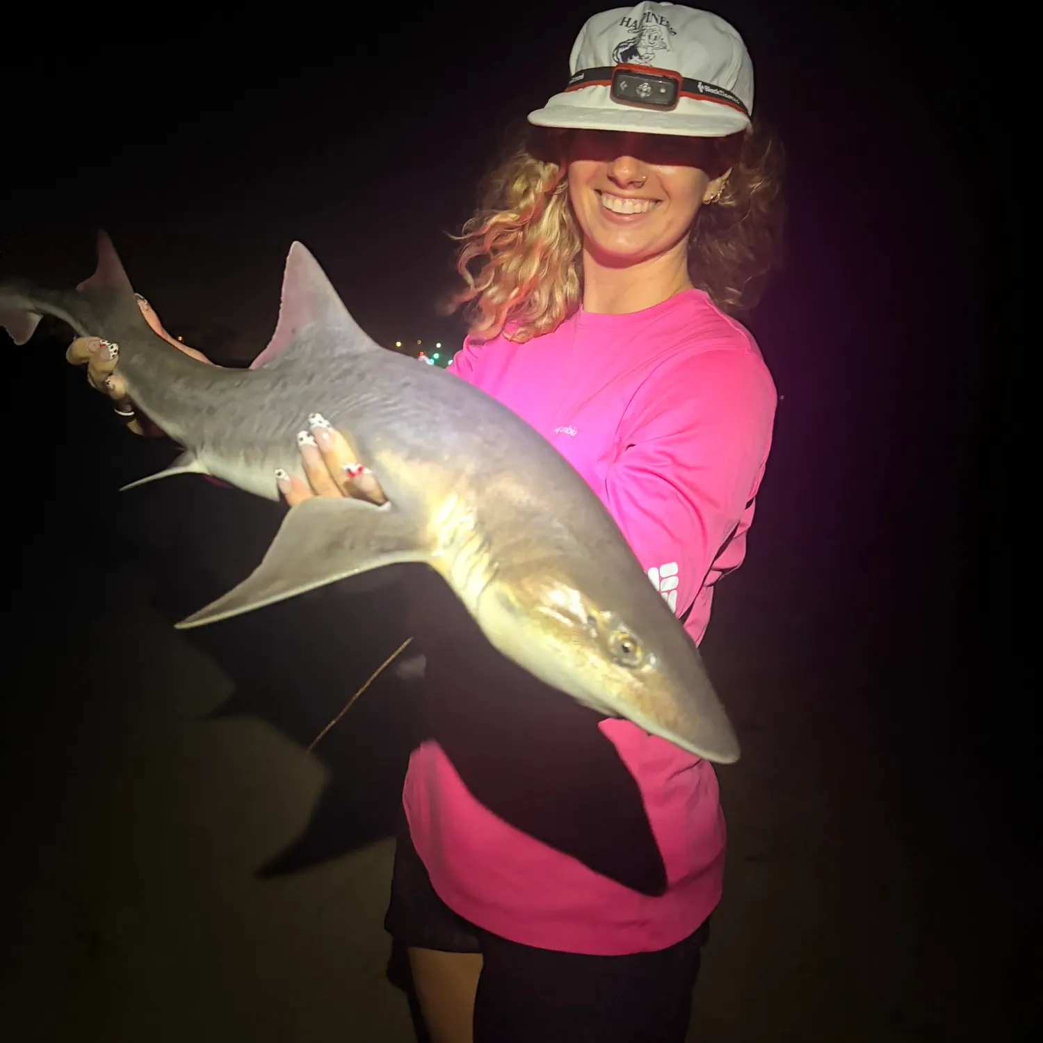 Grey smooth-hound caught on Fishbrain