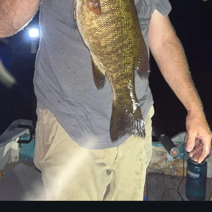 Smallmouth bass caught on Fishbrain