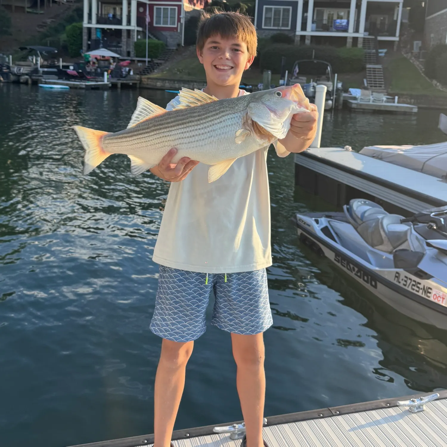 Striped bass caught on Fishbrain