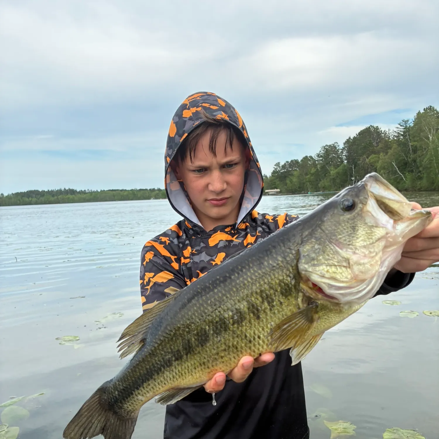 Largemouth bass caught on Fishbrain