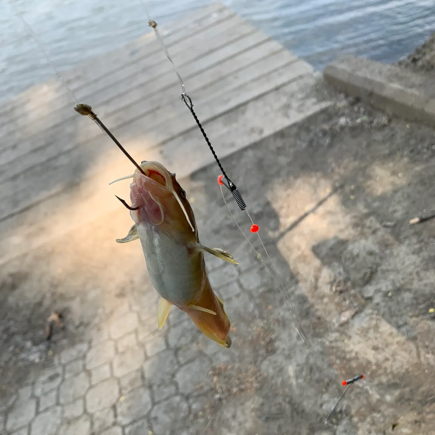 most liked catch image