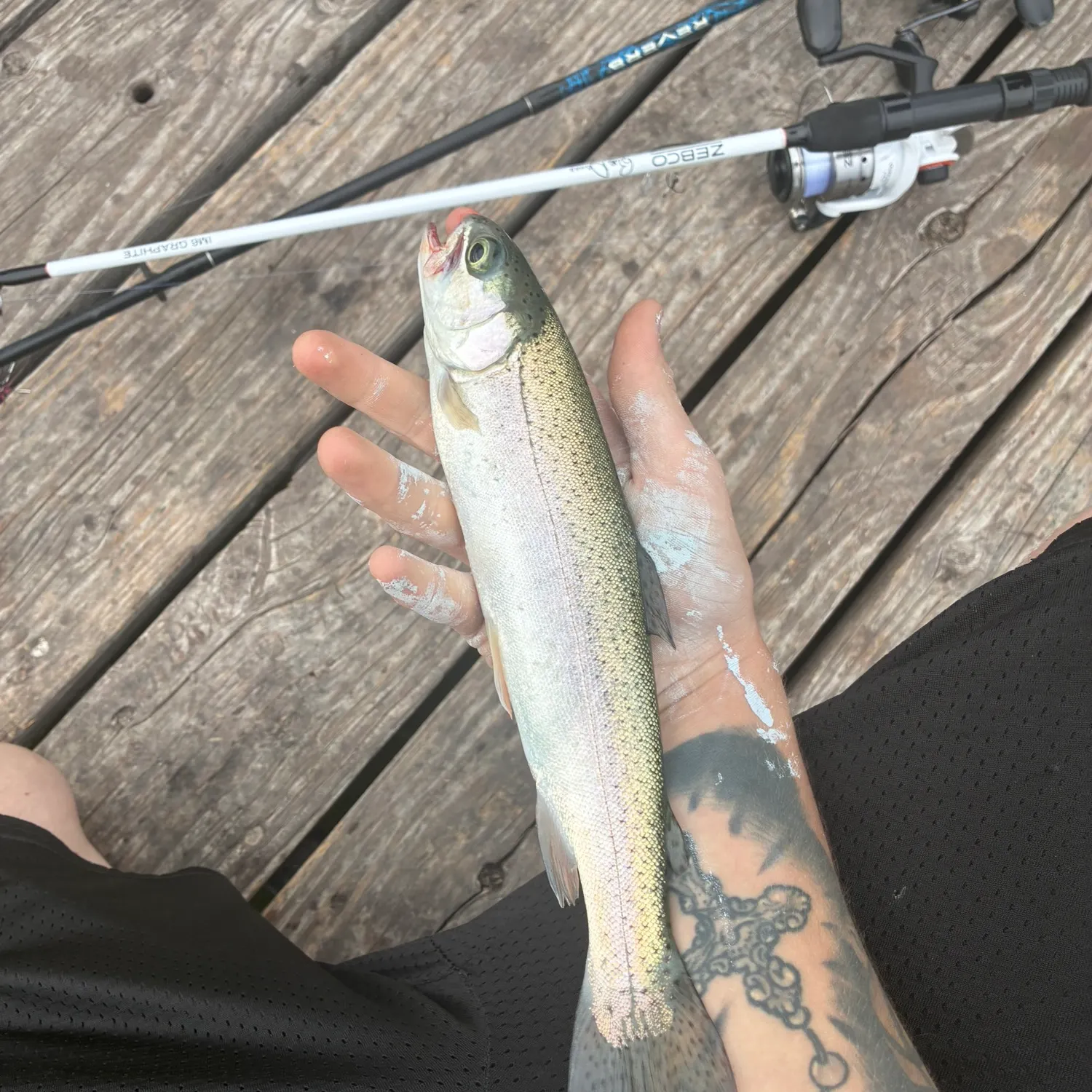 recently logged catches