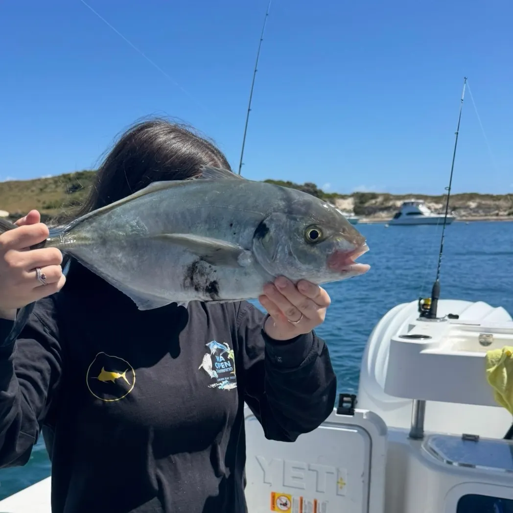 Silver trevally caught on Fishbrain