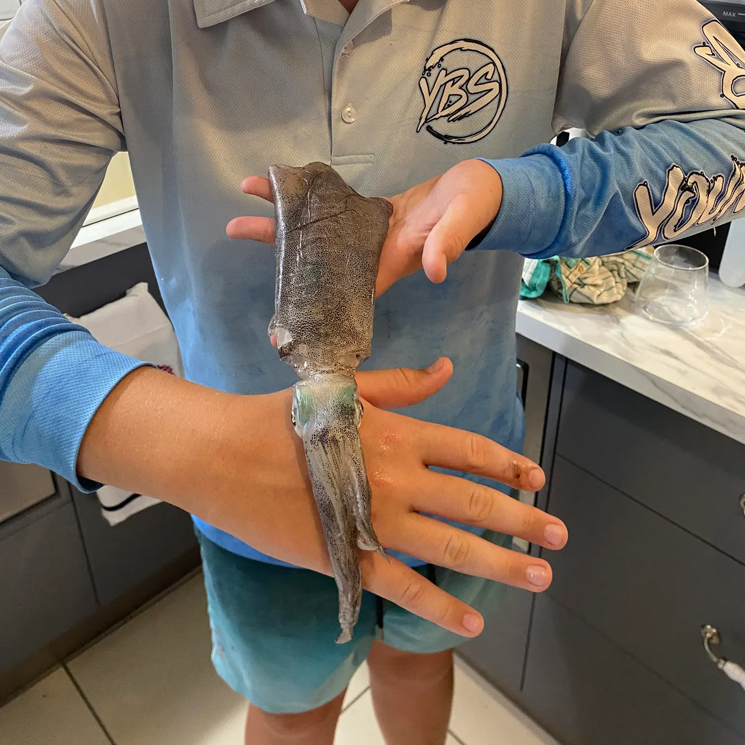 The most recent Bigfin reef squid catches on Fishbrain