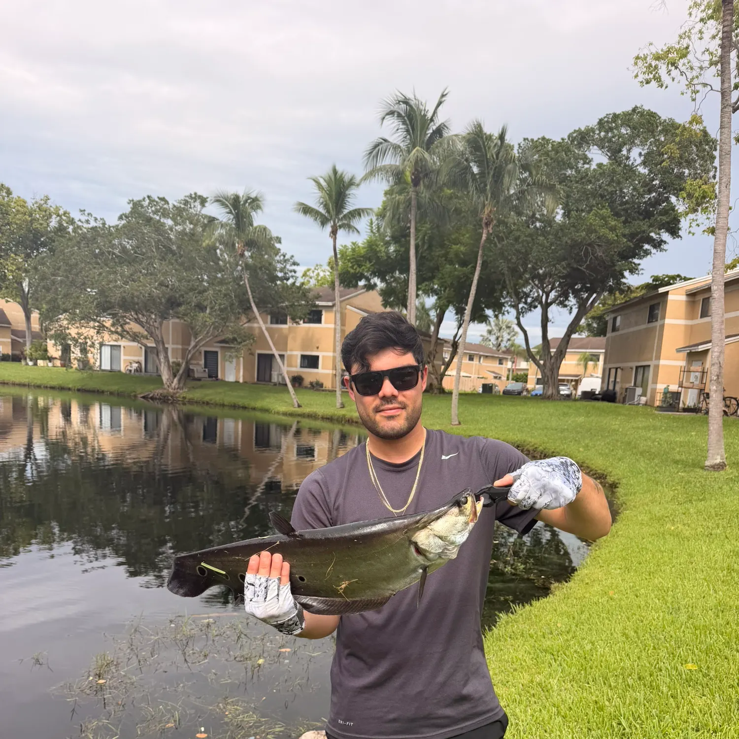 Clown knifefish caught on Fishbrain
