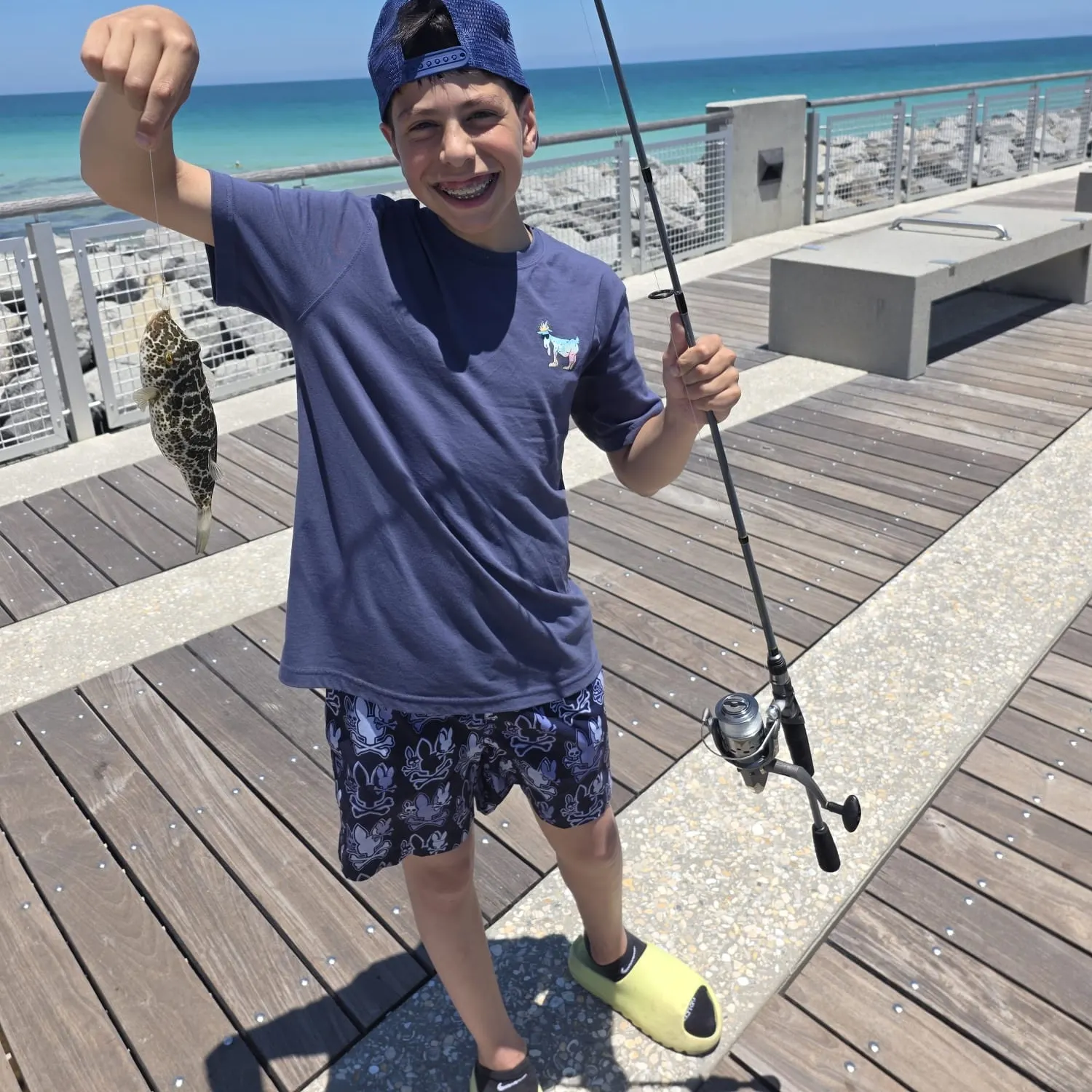 The most recent Spotted green pufferfish catches on Fishbrain
