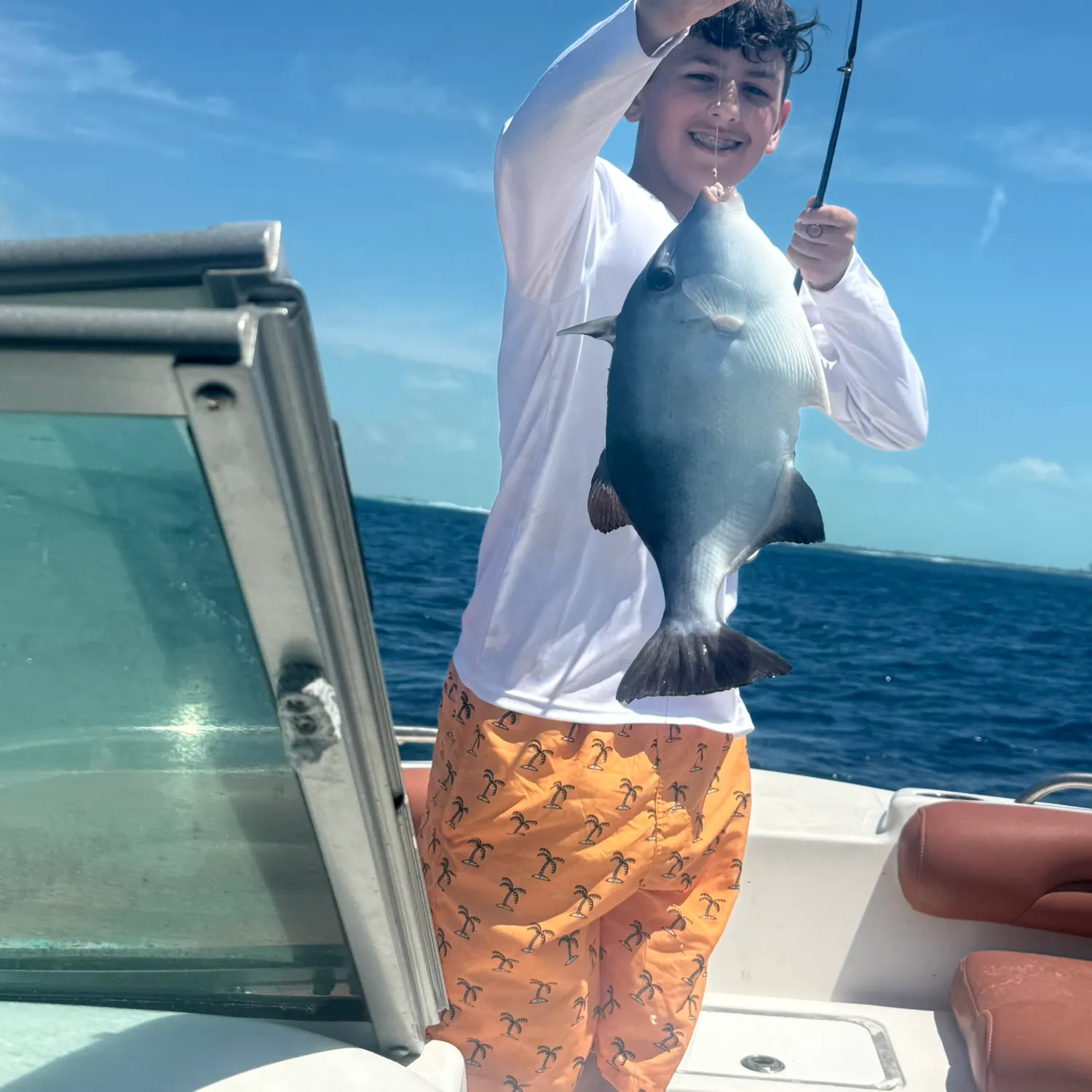 The most recent Ocean triggerfish catches on Fishbrain