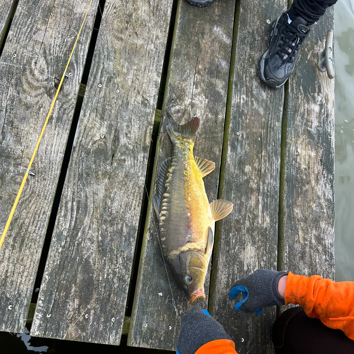catch