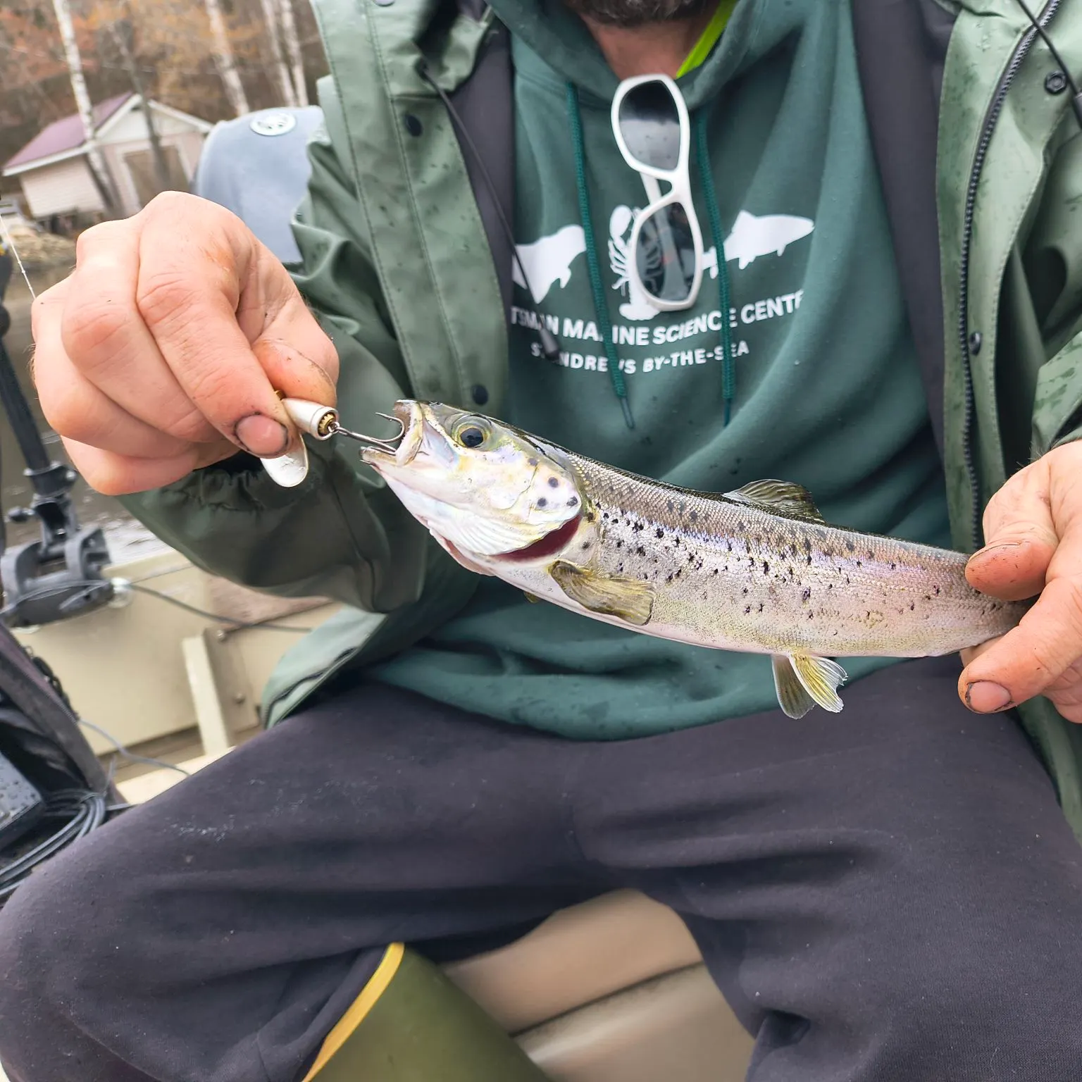 The most recent Landlocked atlantic salmon catches on Fishbrain